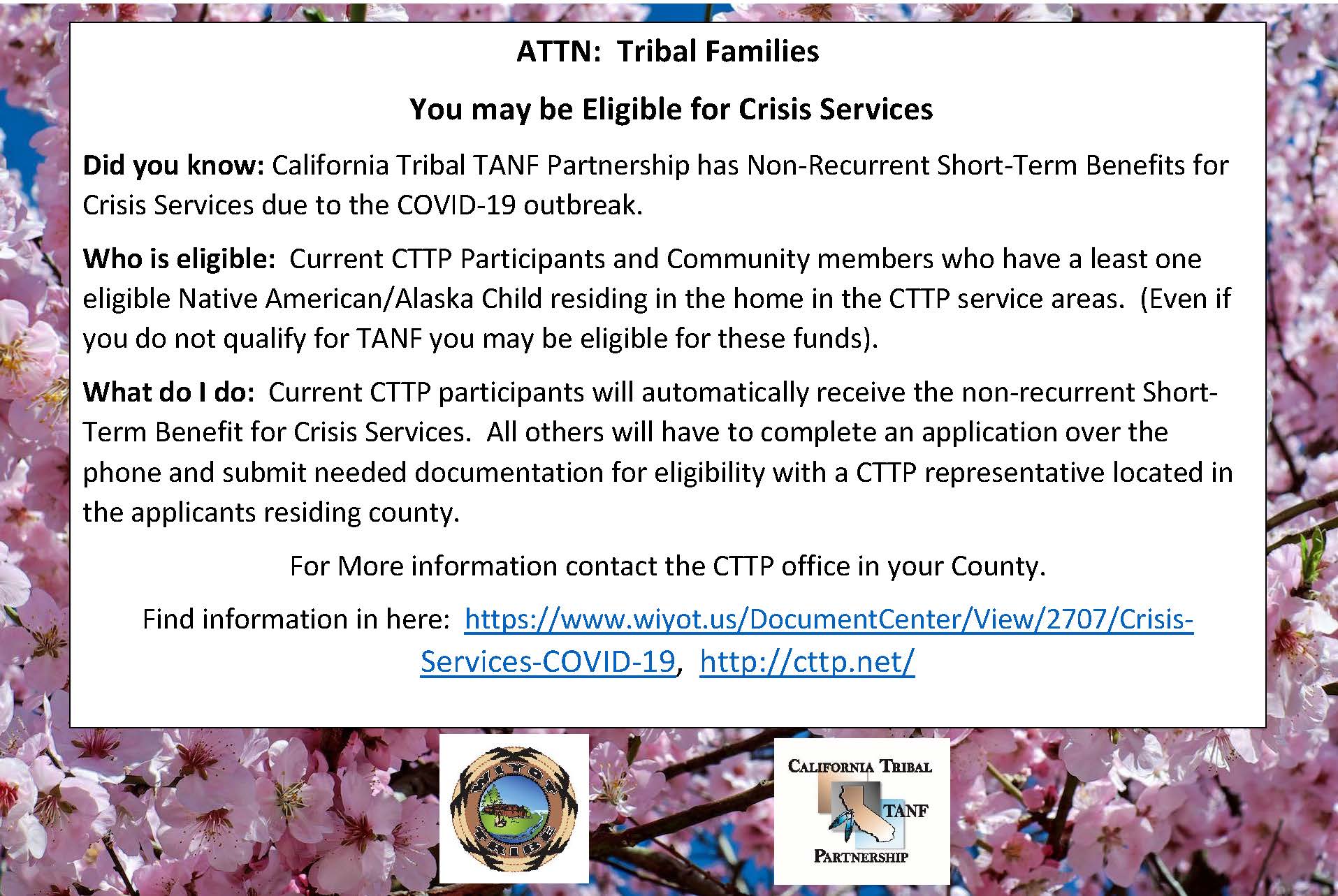 COVID Crisis Services Flyer