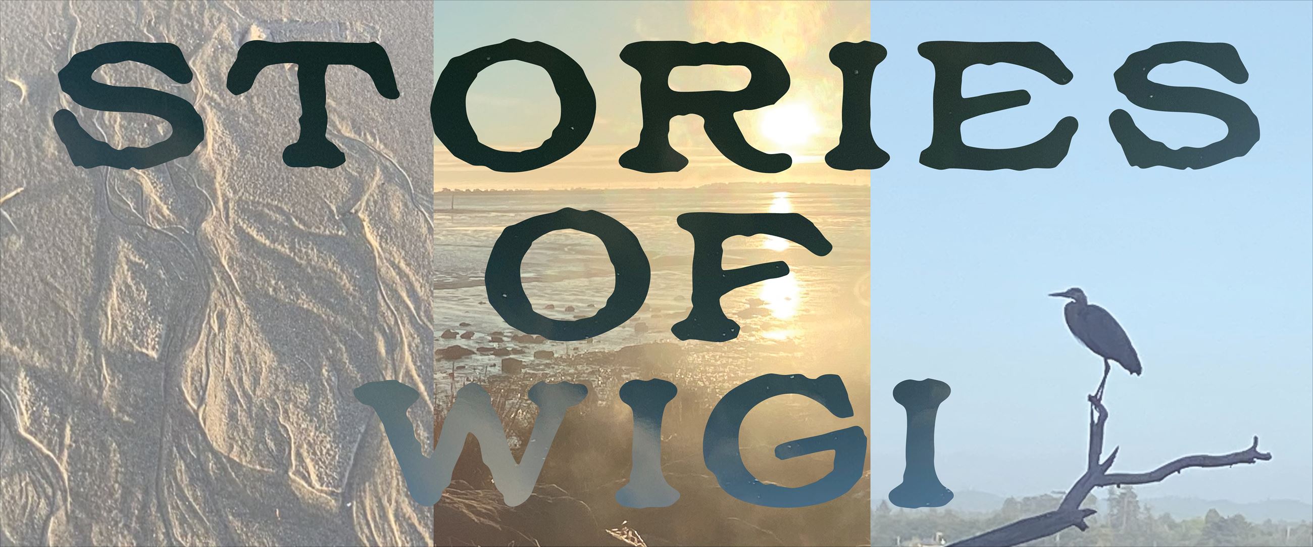 Stories of Wigi banner