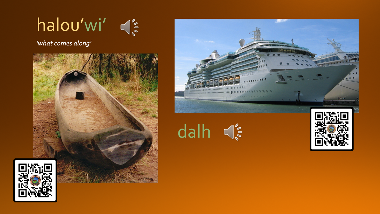 halouwi_dalh Opens in new window