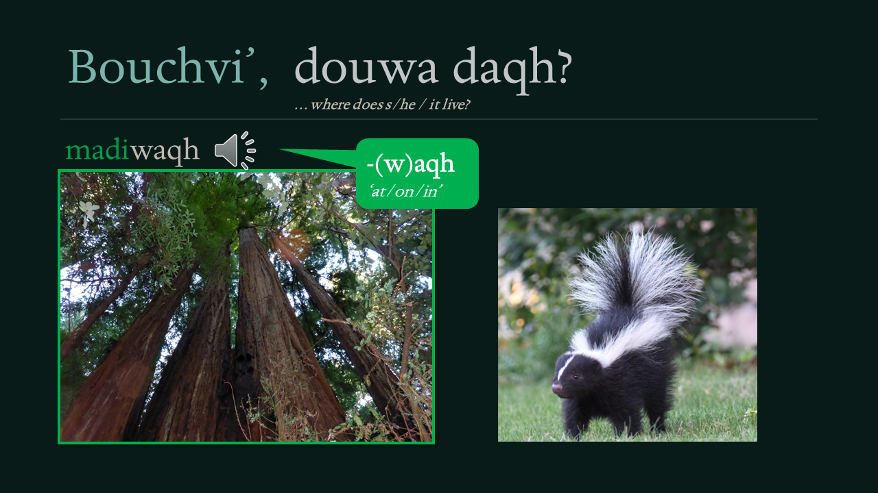 bouchvi_douwa_daqh Opens in new window