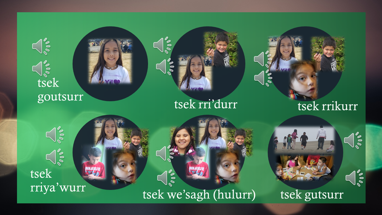 13-2022.10.27_people_counting_screenshot Opens in new window
