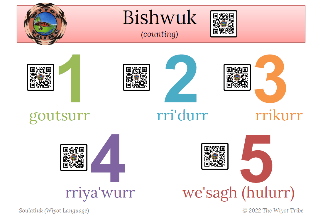 bishwuk-1 Opens in new window