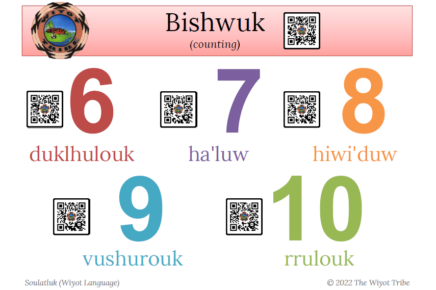 bishwuk-2 Opens in new window