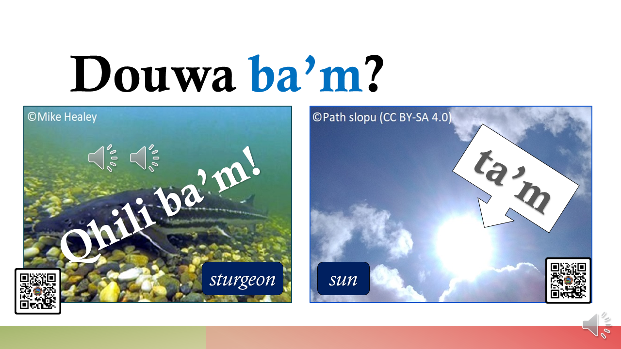 Virtual_Soulatluk_16-2023.01.26_rhyming_pairs_douwa-qhili_douwa_ba7m Opens in new window