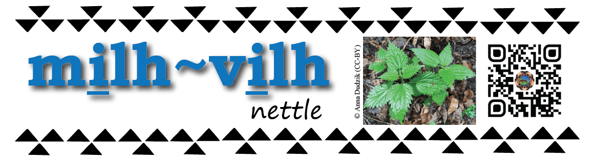 Pronunciation vocabulary primer_Ii_milh_vilh_nettle