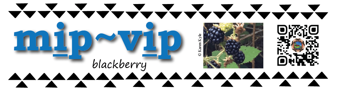 Pronunciation vocabulary primer_Ii_mip_vip_blackberry