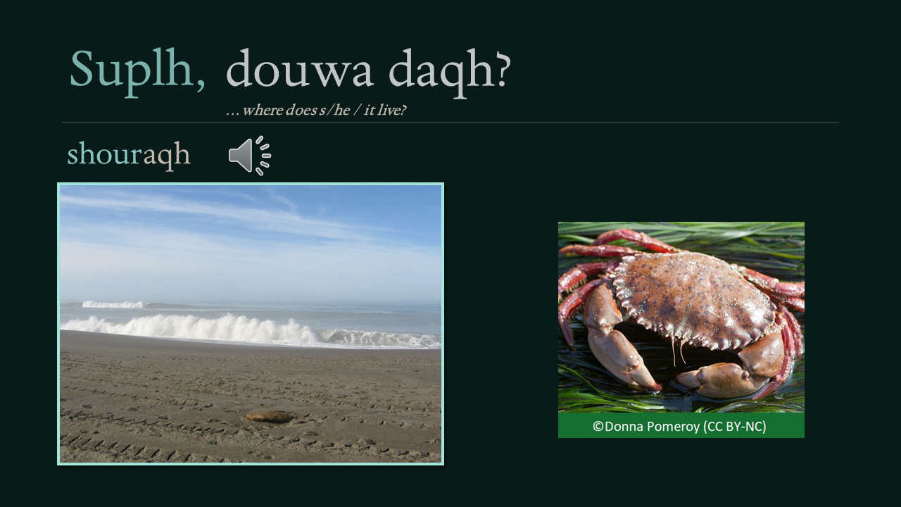 suplh_douwa_daqh_slide