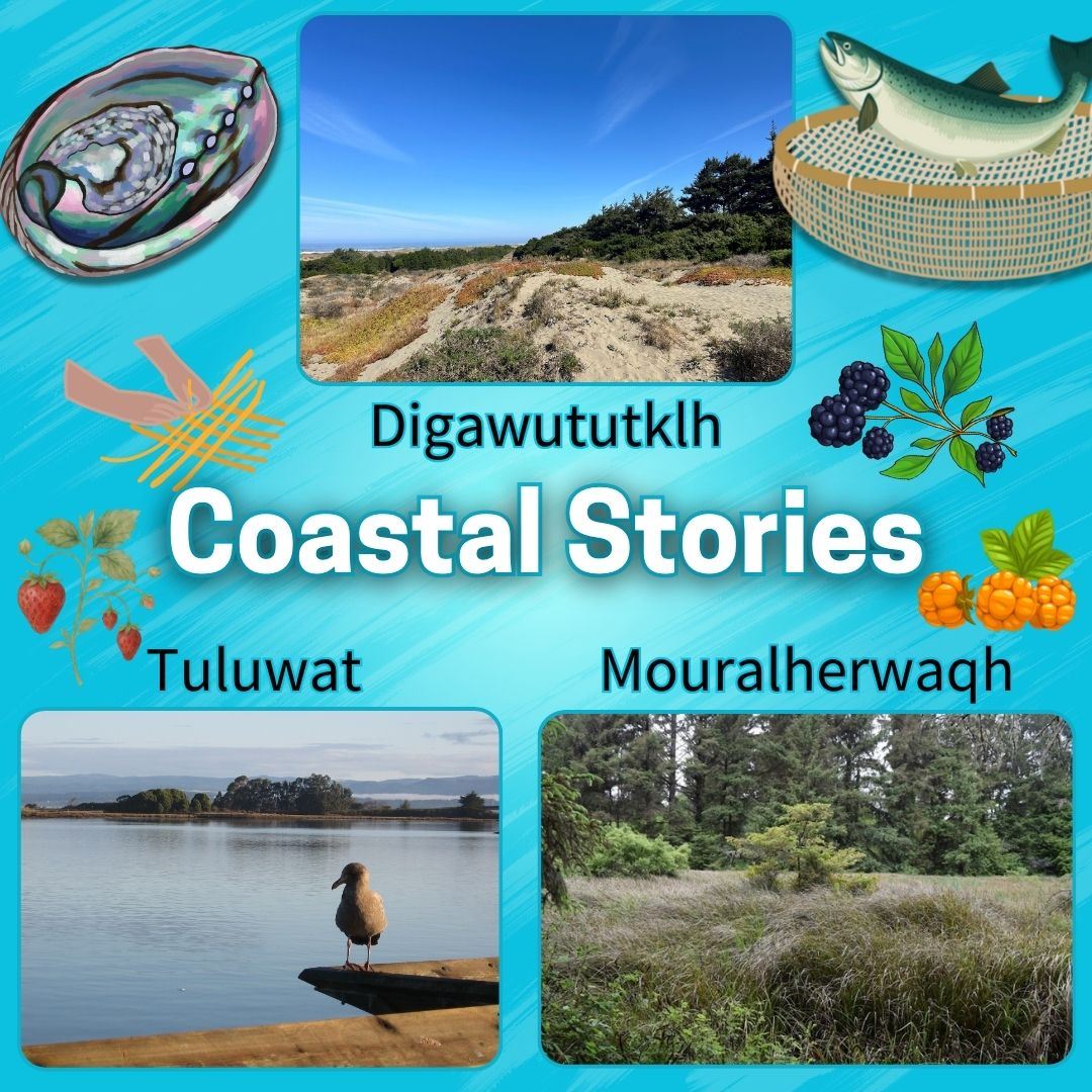 Coastal Stories